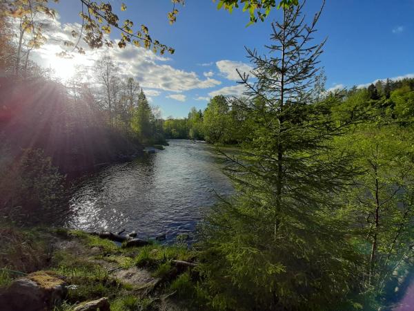 Guesthouse Asilan, Réserver Maison d'hôtes Hôtels SPA à Karelia, SPA