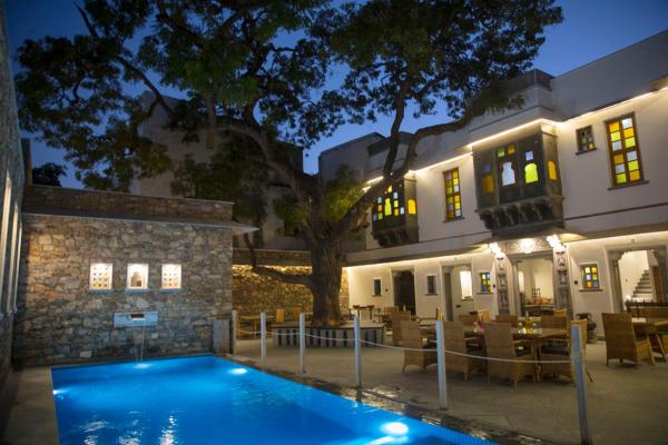 The Neem Tree, Prenota Bed & breakfast Hotel a Rajasthan con piscina, Piscina