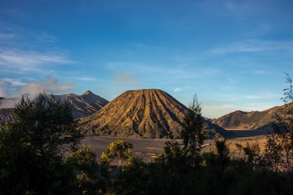 Cemara Indah Hotel, Buchen Sie Hotel Günstige Hotels in Ngadisari