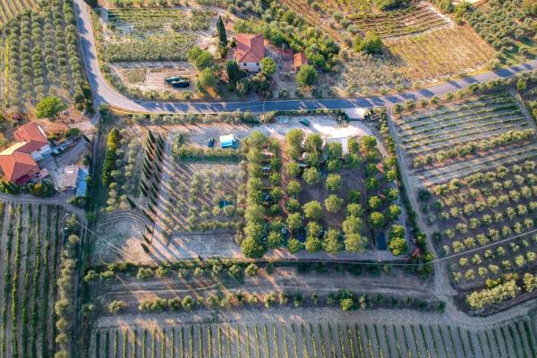 AGRiCAMPiNG POGGiO Ai PiNi WiNE CAMPiNG, Buchen Sie Campingplatz Certaldo Elsa-Tal