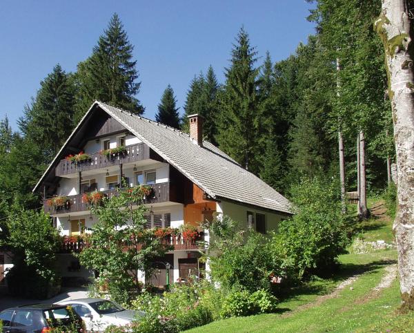 Accommodation Destina, LAKE BOHINJ, Buchen Sie Privatzimmer Hotels in Gorenjska mit Parkplatz, Parkplätze