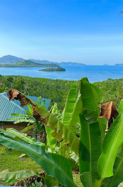 Green Hill Restaurant & Cottages, Buchen Sie Ferienpark Günstige Hotels in Palawan