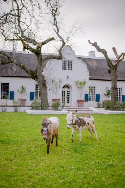 San Gabriel Homestead, Prenota Appartamento Somerset West Western Cape