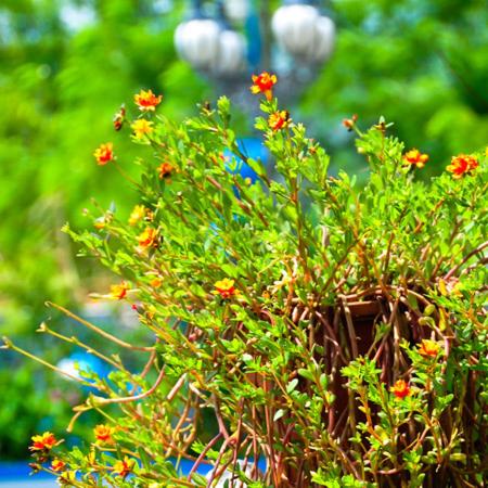 HaiAn Xian Homestay, Buchen Sie Privatzimmer Huxi Landkreis Penghu