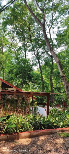 Casa Hadassa La Cañada, Prenota Affittacamere Palenque Chiapas