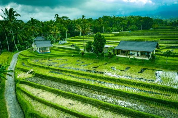 KUBU DUME HOMESTAY, Buchen Sie Privatzimmer Hotels in Tabanan mit Parkplatz, Parkplätze