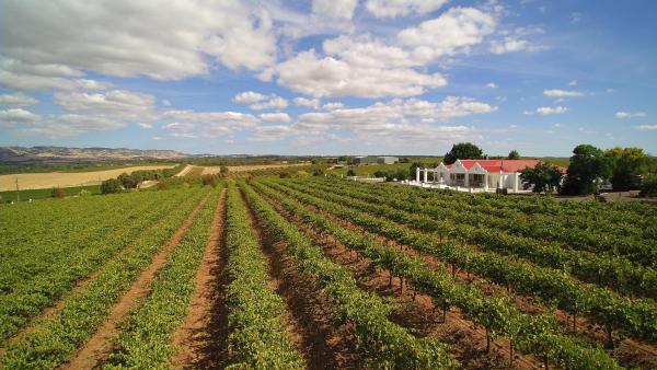 1837 Barossa Luxury Vineyard Cottages, Reserva ahora Casa o chalet Lyndoch 
