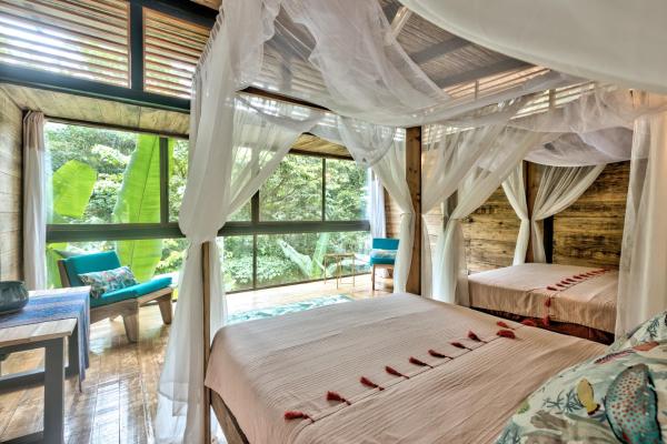 La Shamana - Ecological Concept in Jungle, Book Lodge Hotels in Limon with a Pool, Swimming Pool