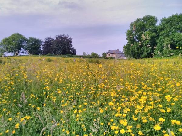Castletownmoor Clinic & Permaculture Farm, Buchen Sie Pension Kells Meath