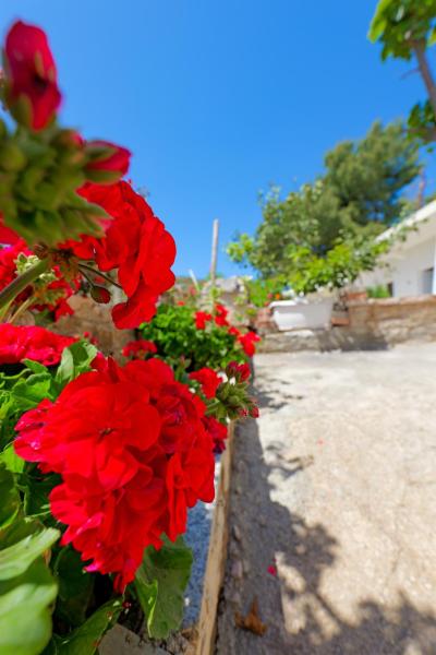 Flower Vila, Buchen Sie Ferienwohnung Hotels in Qark Vlora mit Parkplatz, Parkplätze