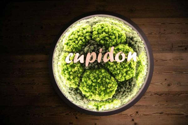 Pensiunea Cupidon, Prenota Motel  