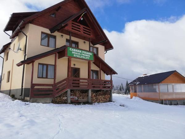 Cabana Poiana Dealul Frumos, Prenota Lodge Hănăşeşti Alba