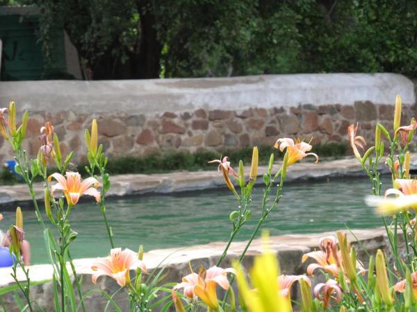 Hillside Farm, Prenota Affittacamere Trompsburg Free State
