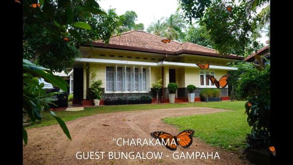 CHARAKAMA Guest Bungalow - GAMPAHA, Buchen Sie Pension Minuwangoda Gampaha