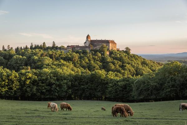 Burg Bernstein, Prenota Hotel Hotel a Burgenland con parcheggio, Parcheggio