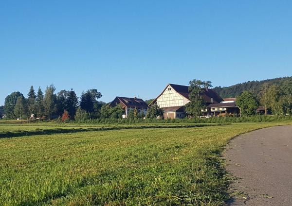 Ferienhof Hanssler, Reserva ahora Apartamento Hoteles en Baden-Wurtemberg con aparcamiento, Aparcamiento