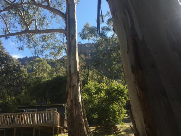 Grampians Nest, Buchen Sie Lodge Hotels in Grampians mit Parkplatz, Parkplätze