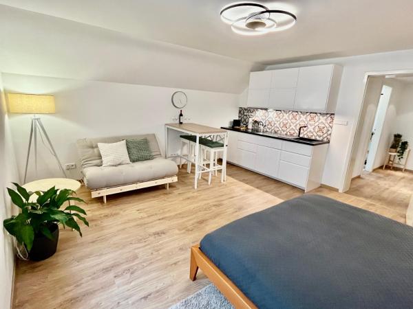 Apartmány Dlouhá, Reserva ahora Apartamento Tábor Bohemia Meridional