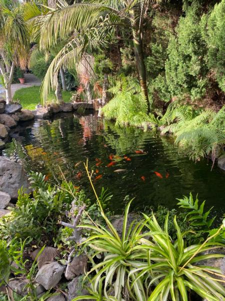 El Time, Buchen Sie Ferienhaus Hotels in La Palma mit Pool, Schwimmbad