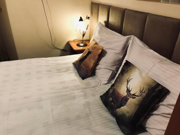 Willa Pod Górami, Buchen Sie Privatzimmer Zakopane 