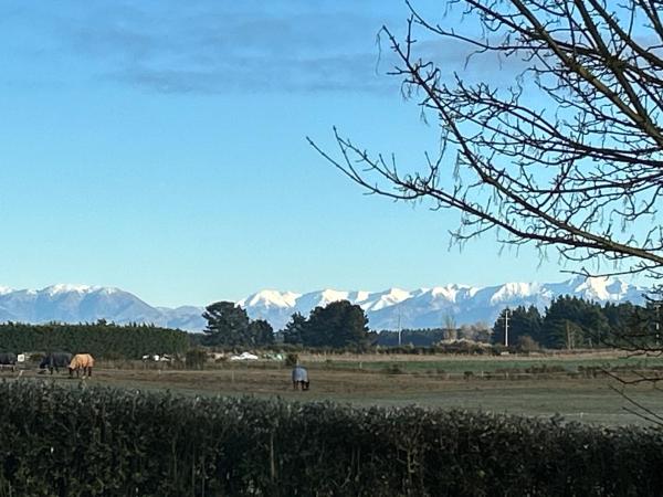 Gem bed and breakfast, Buchen Sie Bed & Breakfast Christchurch 