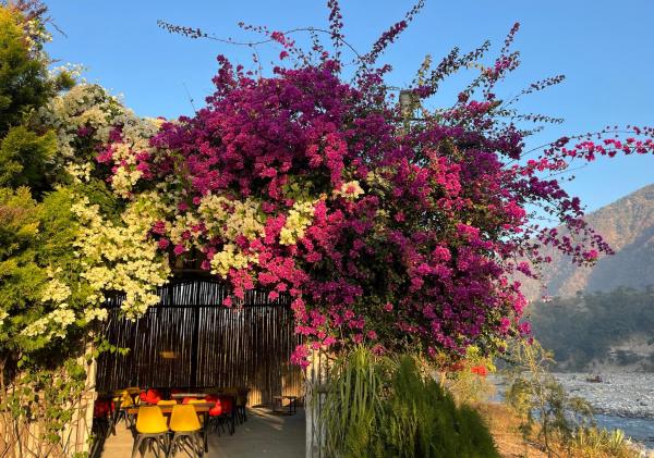 Nayar Valley Retreat, Prenota Hotel Hotel economici a Lansdowne