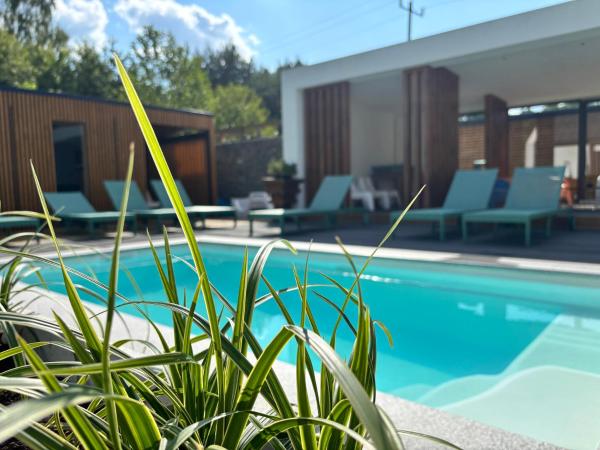 Leśna Polana Domki, Buchen Sie Ferienhaus Hotels mit Pool in Lubelskie, Schwimmbad