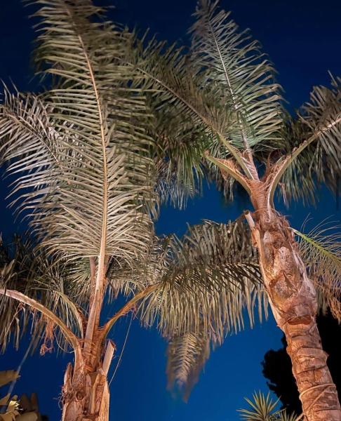 Luxury B&B Villa Tauro, Prenota Bed & breakfast Hotel a Costa del Sol con piscina, Piscina