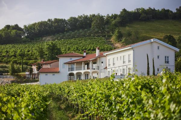 Peterc Vineyard Estate, Buchen Sie Bed & Breakfast Hotels in Goriška Brda mit Pool, Schwimmbad