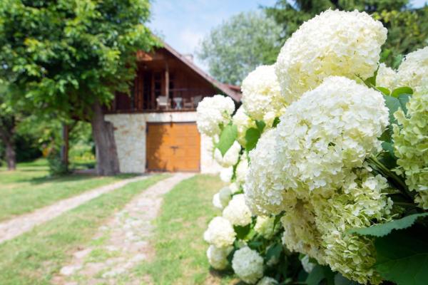Villa Pod Koniem, Réserver Appartement Kazimierz Dolny Lubelskie