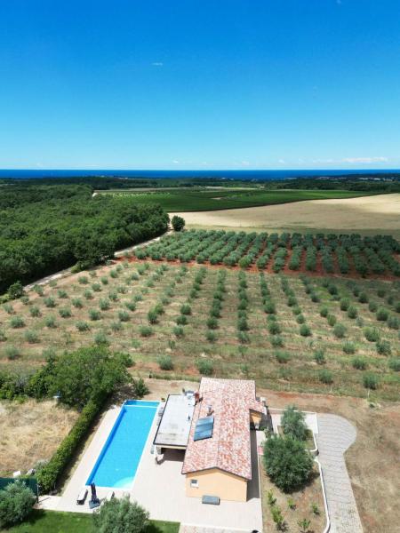 Villa Absolute privacy, Reserva ahora Villa Cabañas en Novigrad, Cabaña