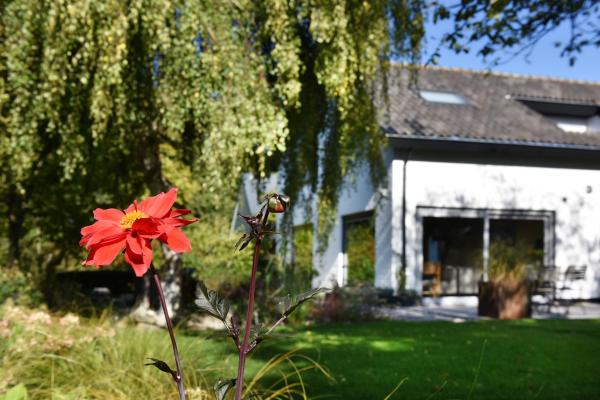 Villa Astrantia, Reserva ahora Casa o chalet Hoteles en Zelanda con aparcamiento, Aparcamiento
