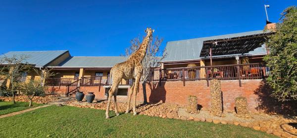 Valley Bushveld Country Lodge, Buchen Sie Lodge Hotels in Ostkap mit Parkplatz, Parkplätze