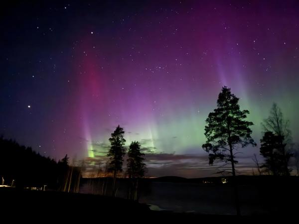 ONNI Village, Buchen Sie Villa Ruokolahti 