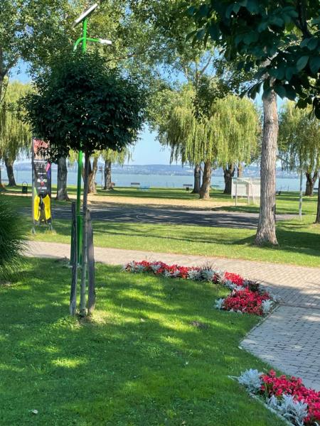 Villa Friends - családoknak és baráti társaságoknak, Buchen Sie Ferienwohnung Hotels mit Pool in Südtransdanubien, Schwimmbad