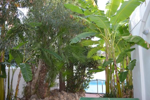 IL Kent, Buchen Sie Ferienwohnung Ischia Ischia