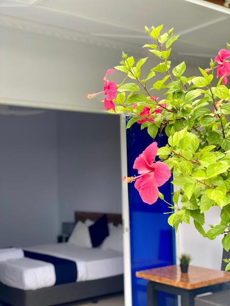 Tides Dhigurah, Réserver Chambre d'hôtes Hôtels pas chers à Atoll Ari