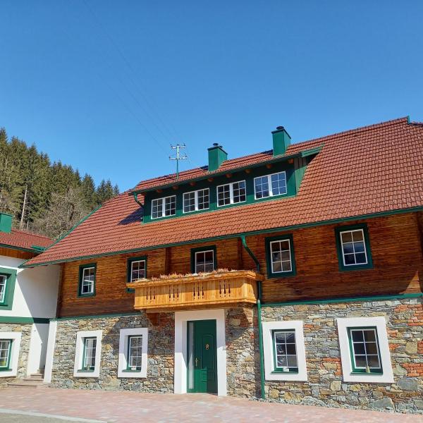 Landhaus Grünjuwel, Prenota Appartamento Hotel SPA a Gerlitzen, SPA