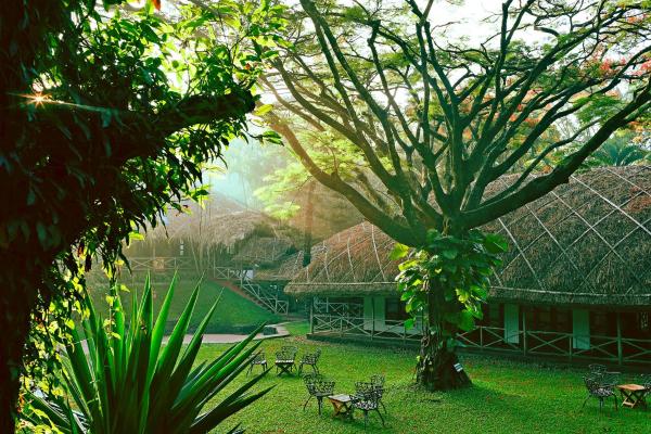 Spice Village Thekkady - a CGH Earth Experience, Prenota Resort Hotel a Kerala con piscina, Piscina