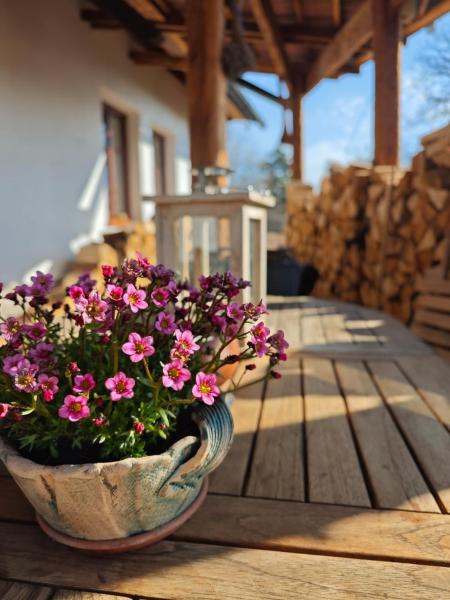 Apartmány pod Kozákem, Reserva ahora Apartamento Hoteles en Bohemia Central con aparcamiento, Aparcamiento
