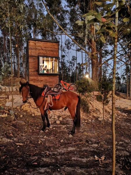 El Bosque de Paipa, Prenota Campeggio Hotel SPA a Paipa, SPA