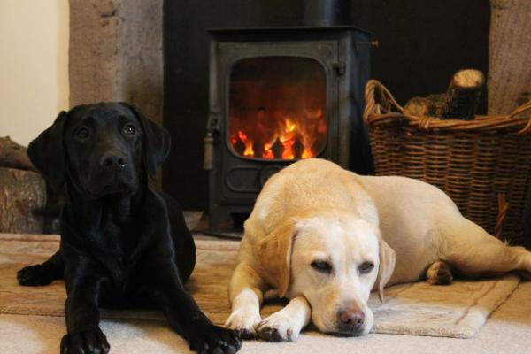 Cardross Holiday Cottages, Buchen Sie Ferienhaus Hotels in Schottland mit Parkplatz, Parkplätze
