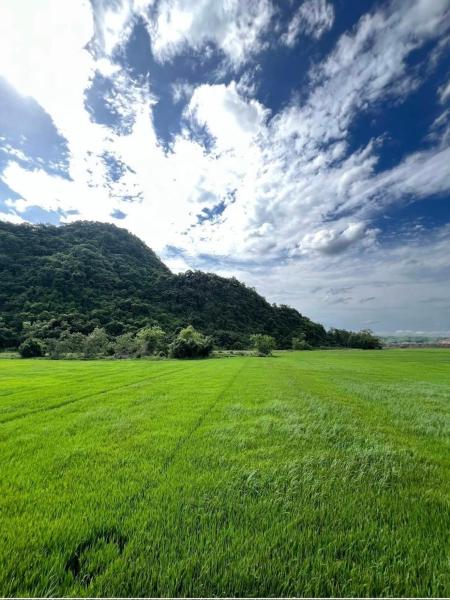 Phong Nha Rice Field Homestay, Prenota Lodge Hotel a Quang Binh con piscina, Piscina