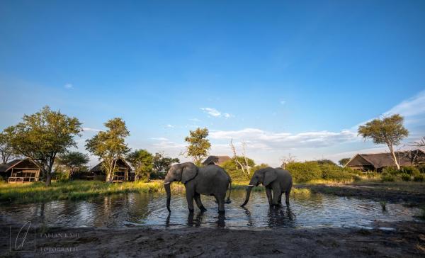 South Okavango - Omogolo Hideaways, Prenota Casa vacanze Hotel con piscina a Northwest District, Piscina