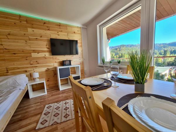 Apartamenty Willa NaSkarpie, Réserver Appartement Hôtels avec piscine à Wisła, Piscine
