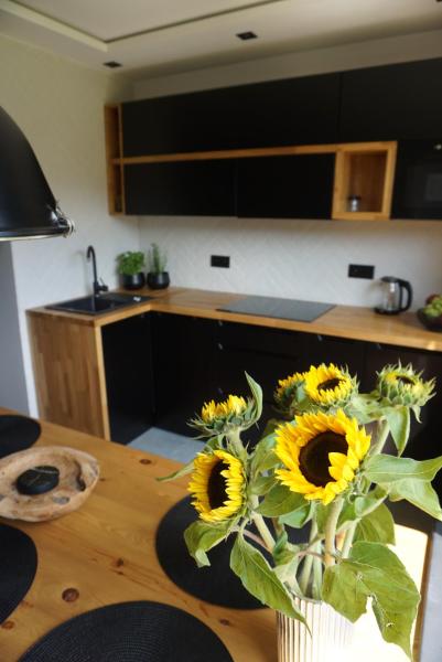 APARTAMENTY JEDYNE TAKIE, Buchen Sie Ferienwohnung Beste Wellnesshotels in Ustroń, SPA