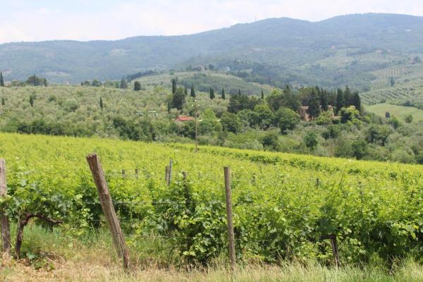 La Cascianella, Book Farm Stay Hotels in Florence with Parking, Parking