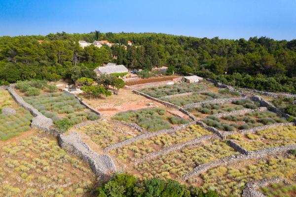 Villa Humac Hvar, Réserver Maison de vacances Poljica Île de Hvar