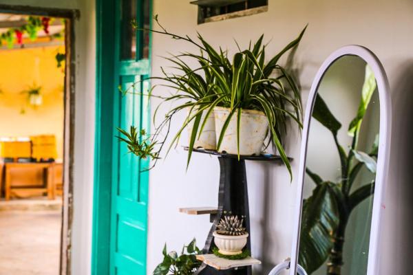 Chocolate Home, Prenota Alloggio in famiglia Da Lat Lam Dong