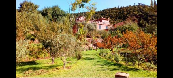 Ourika Timalizène le jardin des délices, Buchen Sie Pension Hotels in Marrakech-Safi mit Parkplatz, Parkplätze